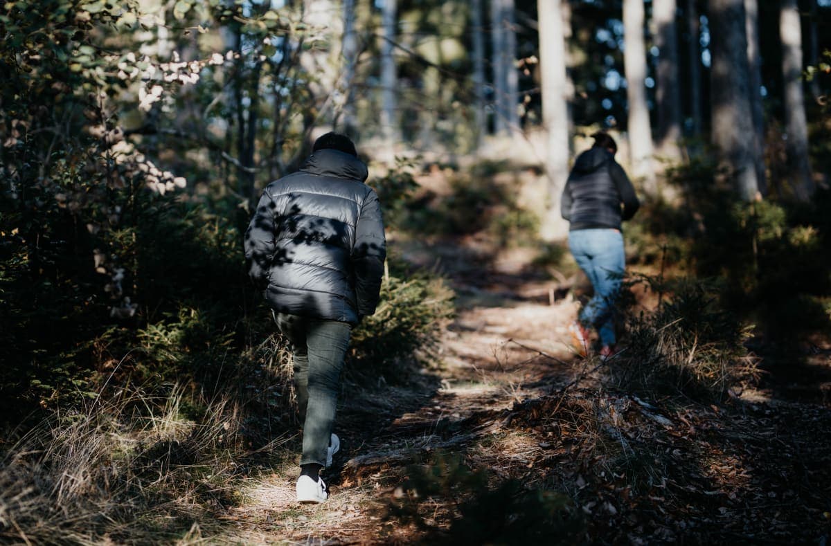 Winterwandeling in het besneeuwde Erzgebirge